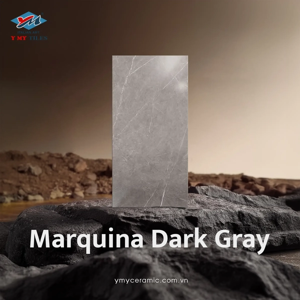 A Y MY TILES product photo of the Marquina Dark Gray tile set against a rocky background